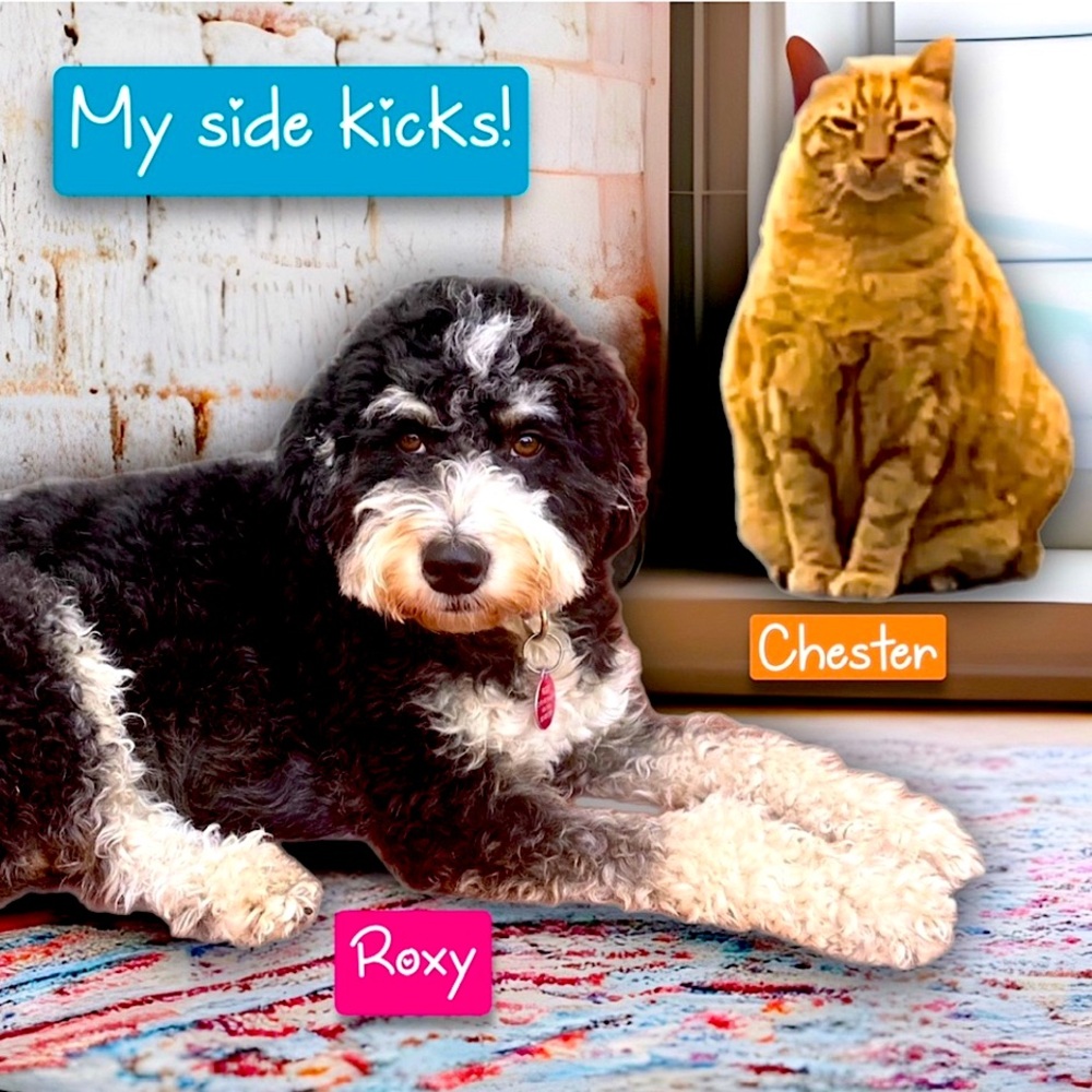 🏃‍♀️POSH CHEEKY LIVE⭐️ACTIVEWEAR TRAIN⭐️ - Picture 10 of 17